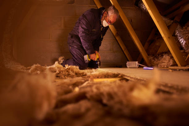 Best Insulation Installation Services in Platte City, MO